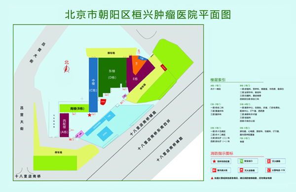 男生把鸡插到女生屁股视频网站北京市朝阳区桓兴肿瘤医院平面图